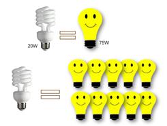 CFL bulbs use less power and last much longer than standard bulbs